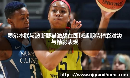 墨尔本联与波斯野猫激战在即球迷期待精彩对决与精彩表现